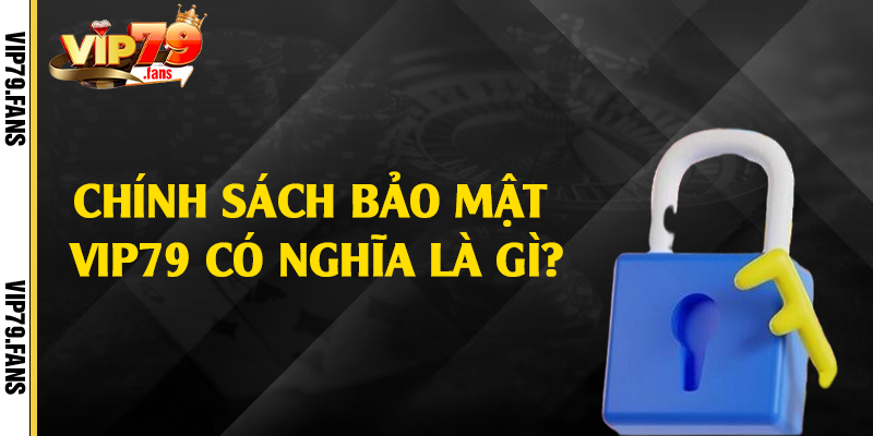 Chính sách bảo mật Vip79 có nghĩa là gì?
